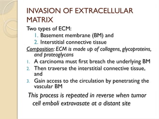 Comprehensive Overview of Metastatic Signature and Tumor Metastasis ...