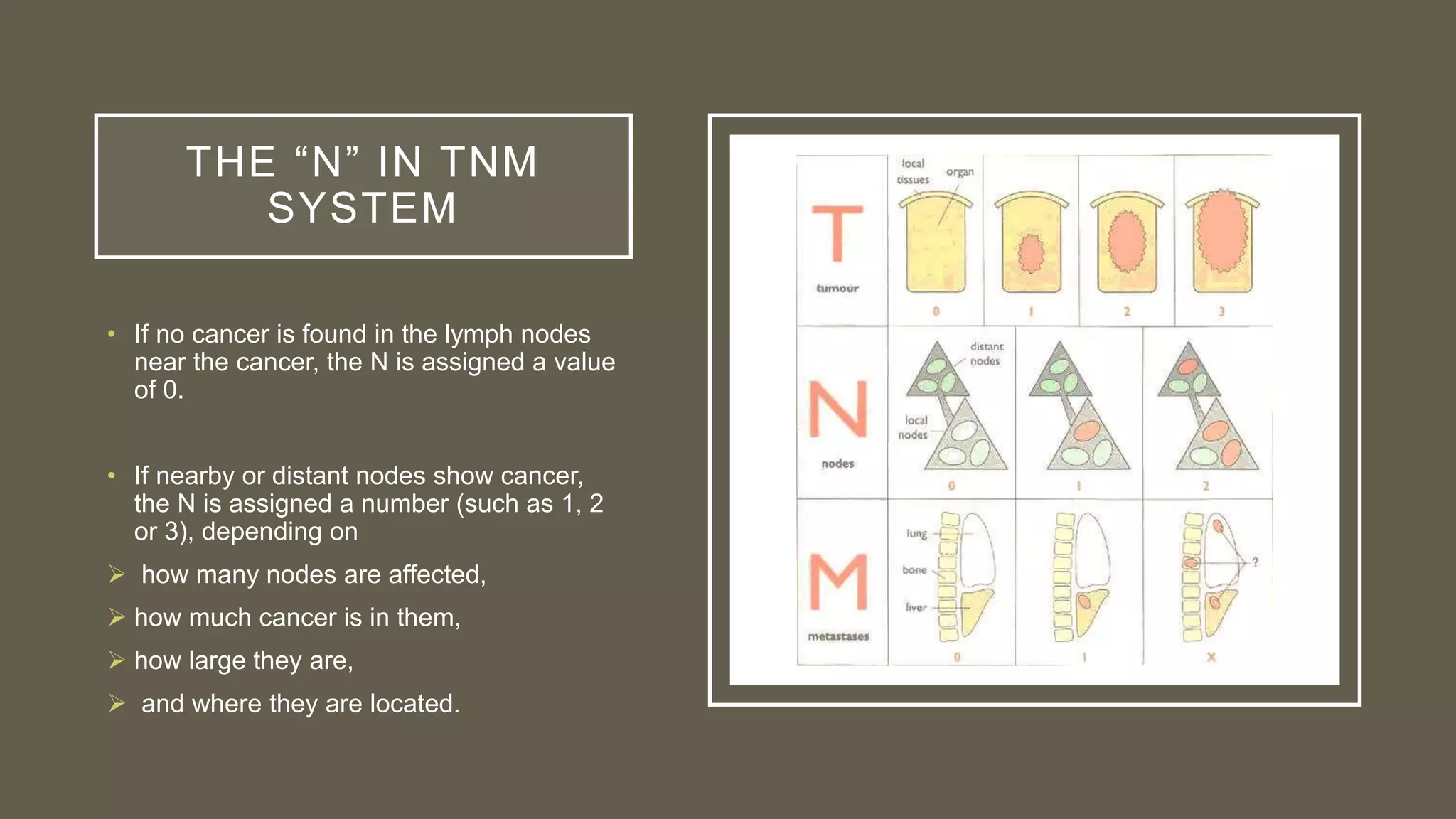THE “N” IN TNM
SYSTEM
• If no cancer is found in the lymph nodes
near the cancer, the N is assigned a value
of 0.
• If nearby or distant nodes show cancer,
the N is assigned a number (such as 1, 2
or 3), depending on
 how many nodes are affected,
 how much cancer is in them,
 how large they are,
 and where they are located.
 