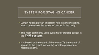 SYSTEM FOR STAGING CANCER
• Lymph nodes play an important role in cancer staging,
which determines the extent of cancer in the body.
• The most commonly used systems for staging cancer is
the TNM system.
• It is based on the extent of the tumor (T), the extent of
spread to the lymph nodes (N), and the presence of
metastasis (M).
 