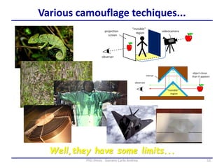 53PhD thesis - Gonano Carlo Andrea
Various camouflage techiques...
Well,they have some limits...
 