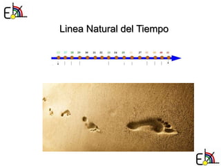 Linea Natural del Tiempo
 