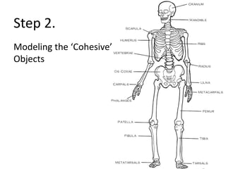 Step 2.
Modeling the ‘Cohesive’
Objects
 