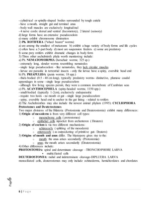 6 | P a g e
Page6
- cylindrical or spindle-shaped bodies surrounded by tough cuticle
- have a mouth, straight gut and terminal anus
- body wall muscles are exclusively longitudinal
- 4 nerve cords: dorsal and ventral (locomotory), 2 lateral (sensory)
d) large forms have an extensive pseudocoelom
e) many exhibit chromosome diminution
2) Ph. ROTIFERA ("wheel bearer" worms)
a) are among the smallest of metazoans b) exhibit a huge variety of body forms and life cycles
c) often have a 3-part body d) most are suspension feeders e) some are predatory
f) some prey rotifers exhibit dramatic changes in body form
3) Three other aschelminth phyla worth mentioning include:
a) Ph. NEMATOMORPHA (horsehair worms; 325 sp.)
- extremely long, slender worms resembling nematodes
- single large pseudocoelom - like nematodes, they lack circular muscles
- larvae are parasitic in terrestrial insects - only the larvae have a spiny, eversible head end
b) Ph. PRIAPULIDA (penis worms; 18 spp.)
- thick-bodied (0.5 - 40 cm long), typically predatory worms- distinctive, plumose caudal
appendages in some - single large pseudocoelom
- although few living species persist, they were a common invertebrate of Cambrian seas
c) Ph. ACANTHOCEPHELA (spiny-headed worms; 1150 spp.)
- small-bodied (typically 1-2cm), exclusively endoparasitic
- require two hosts - no mouth or gut - single large pseudocoelom
- spiny, eversible head end to anchor in the gut lining - related to rotifers
d) The Aschelminthes may also include the newest animal phylum (1995): CYCLIOPHORA
Protostomes and Deuterostomes
Two major divisions of the Bilateria (Protostomia and Deuterostomia) exhibit many differences:
1) Origin of mesoderm is from very different cell types:
o mesenchyme cells ( protostomes)
o epithelial cells inpocket from archenteron ( Deutero)
2) Origin of coelom is via two different mechanisms:
o schizocoely ( splitting of the mesoderm)
o enterocoely ( as outpocketing of primitive gut- Deutero)
3) Origins of mouth and anus differ. The blastopore gives rise to the:
o mouth; the anus arises secondarily (Protostomia)
o anus; the mouth arises secondarily (Deuterostomia)
4) Other differences include:
PROTOSTOMIA: spiral and determinate cleavage –TRONCHOPHORE LARVA
 multiciliated cells
DEUTEROSTOMIA: radial and indeterminate cleavage-DIPLUERA LARVA
monociliated cells, deuterostomes may only include echinoderms, hemichordates and chordates
 