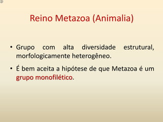 Reino Metazoa (Animalia)
• Grupo com alta diversidade estrutural,
morfologicamente heterogêneo.
• É bem aceita a hipótese de que Metazoa é um
grupo monofilético.
 