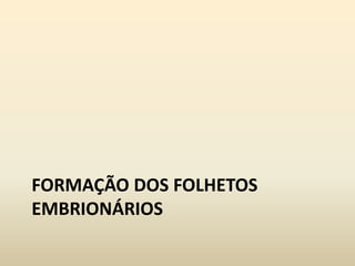 FORMAÇÃO DOS FOLHETOS
EMBRIONÁRIOS
 