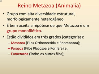 Reino Metazoa (Animalia)
• Grupo com alta diversidade estrutural,
morfologicamente heterogêneo.
• É bem aceita a hipótese de que Metazoa é um
grupo monofilético.
• Estão divididos em três grados (categorias):
– Mesozoa (Filos Orthonectida e Rhombozoa);
– Parazoa (Filos Placozoa e Porifera) e;
– Eumetazoa (Todos os outros filos);
 