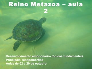 Reino Metazoa – aula
          2




Desenvolvimento embrionário- tópicos fundamentais
Principais sinapomorfias
Aulas de 02 a 20 de outubro
 