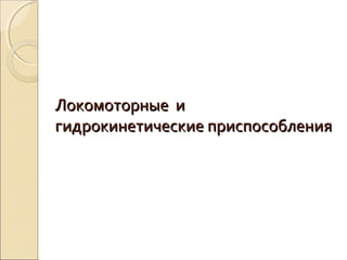 Локомоторные иЛокомоторные и
гидрокинетические приспособлениягидрокинетические приспособления
 