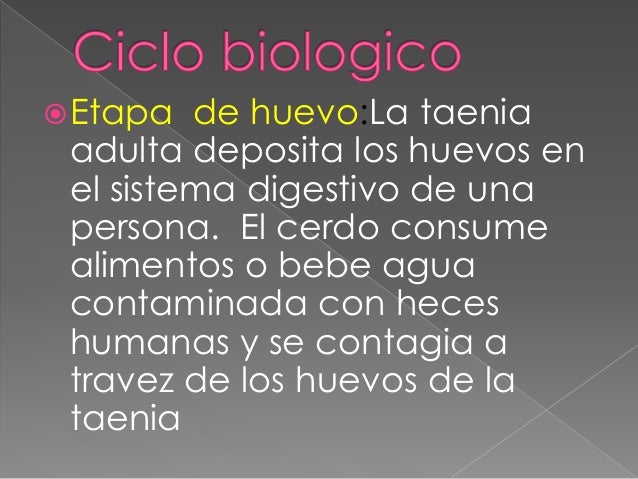 Que indicios de las lombrices al ternero
