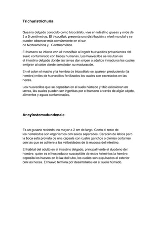 Trichuristrichuria

Gusano delgado conocido como tricocéfalo, vive en intestino grueso y mide de
3 a 5 centímetros. El tricocéfalo presenta una distribución a nivel mundial y se
pueden observar más comúnmente en el sur
de Norteamérica y Centroamérica.

El humano se infecta con el tricocéfalo al ingerir huevecillos provenientes del
suelo contaminado con heces humanas. Los huevecillos se incuban en
el intestino delgado donde las larvas dan origen a adultos inmaduros los cuales
emigran al colon donde completan su maduración.

En el colon el macho y la hembra de tricocéfalo se aparean produciendo (la
hembra) miles de huevecillos fertilizados los cuales son excretados en las
heces.

Los huevecillos que se depositan en el suelo húmedo y tibio eclosionan en
larvas, las cuales pueden ser ingeridas por el humano a través de algún objeto,
alimentos y aguas contaminadas.




Ancylostomaduodenale


Es un gusano redondo, no mayor a 2 cm de largo. Como el resto de
los nematodos son organismos con sexos separados. Carecen de labios pero
la boca está provista de una cápsula con cuatro ganchos o dientes cortantes
con las que se adhiere a las vellosidades de la mucosa del intestino.

El hábitat del adulto es el intestino delgado, principalmente el duodeno del
hombre, quien es el hospedador susceptible de estos helmintos.la hembra
deposita los huevos en la luz del tubo, los cuales son expulsados al exterior
con las heces. El huevo termina por desarrollarse en el suelo húmedo.
 
