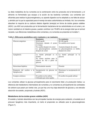 La dieta metabólica de los rumiantes es la combinación entre los productos de la fermentación y el
alimento no fermentado que escapa a la acción de las bacterias ruminales. Los rumiantes son
eficientes para realizar la gluconeogénesis y su aparato digestivo se ha adaptado a una falta de azúcar
y almidón por lo que la capacidad para el manejo de estos carbohidratos es limitada. Así, los rumiantes
absorben la mayoría de su carbono dietario digerido (energía) en forma de ácidos grasos volátiles
(AGV). Los AGV son producidos por la fermentación bacteriana de los carbohidratos en el rumen y en
menor cantidad en el intestino grueso, pueden contribuir con 70-80% de la energía total que el animal
necesita. Las diferencias metabólicas entre rumiantes y no rumiantes se presentan en la tabla 1.
Tabla 1. Diferencia metabólicas entre rumiantes y no rumiantes
Rumiantes No rumiantes
Glucosa sanguínea 40-60 mg/dL 80-100 mg/dL
Disminuye durante el ayuno
(1-2 días)
No cambia con el ayuno
No cambia después de comer Aumenta después de comer
La gluconeogénesis aumenta
después de comer
La gluconeogénesis se inhibe
después de comer
Lipogénesis La fuente principal es el
acetato
La fuente principal es la
glucosa
No tienen enzimas para la
síntesis de AG a partir de
glucosa
Hexocinasa hepática Prácticamente ausente Presente
Respuesta del cerebro a la
hipoglucemia
Incorporación de glucosa sin
cambios
Disminuye la incorporación de
glucosa
Cuerpos cetónicos El cerebro no los utiliza El cerebro los puede utilizar
Utilizados por otros tejidos
Los rumiantes utilizan la glucosa principalmente para el crecimiento fetal y la producción láctea. La
diferencia del metabolismo intermediario de rumiantes y no rumiantes es principalmente las cantidades
de carbono que pasan por ciertas vías, ya que hay una muy baja absorción de glucosa y una elevada
absorción de acetato, propionato y butirato (AGV).
Metabolismo de los ácidos grasos volátiles (AGV)
El acetato y butirato absorbidos son las principales fuentes de energía para oxidación, el acetato es el
precusor lipogénico más importante, en tanto el propionato es utilizado para la gluconeogénesis
(Figura 1).
 