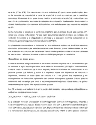 de acilos (PTA o ACP). Sólo hay una reacción en la síntesis de AG que no ocurre en el complejo, ésta
es la formación de malonil-CoA a partir de acetil-CoA la cual es catalizada por la acetil-CoA
carboxilasa. El complejo ácido grasa sintasa cataliza: la unión entre el acetil-CoA y malonil-CoA, una
reacción de condensación, reacciones de reducción, de continuación, de elongación, desaturación. La
síntesis de AG produce principalmente ácido palmítico, que será el sustrato para producir una variedad
de AG.
En los rumiantes, el acetato es la fuente más importante para la síntesis de AG. Los enzimas ATP-
citrato liasa y málica no funcionan. Por esta razón los rumiantes recurren al ciclo de las pentosas, a la
oxidación de isocitrato a α-cetoglutarato en el citosol y la desviación isocitrato-oxaloacetato en la
mitocondria, para conseguir equivalentes reductores (NAPDH).
La primera reacción limitante de la síntesis de AG es la síntesis de malonil-CoA. El enzima acetil-CoA
carboxilasa es estimulado por elevadas concentraciones de citrato y altas concentraciones de ATP.
Por el contrario es controlada por mecanismos de fosforilación y desfosforilación. El enzima fosforilado
es menos activo. La insulina promueve la desfosforilación y el glucagon la fosforilación.
Oxidación de los ácidos grasos
Cuando el aporte de energía de la dieta es insuficiente, el animal responde con la señal hormonal, que
se transmite al tejido adiposo por medio de la liberación de adrenalina, glucagon u otras hormonas.
Éstas se unen a la membrana de la célula adiposa y estimulan la síntesis del quien activará a una
proteína quinasa que fosforila y activa a la triglicérido lipasa. Los triglicéridos se hidrolizan a
diglicéridos, liberando un ácido graso del carbono 1 ó 3 del glicerol. Los diglicéridos y los
monoglicéridos son hidrolizados rápidamente para producir ácidos grasos y glicerol. El ácido graso no
esterificado sale a la sangre y se une a la albúmina para ser transportado a otros tejidos, y el glicerol
será utilizado por el hígado para la producción de glucosa.
Los AG se oxidan en el carbono β, de ahí el nombre de β-oxidación y se degradan a ácido acético y un
ácido graso con dos carbonos menos:
La β-oxidación inicia con una reacción de deshidrogenación (acil-CoA deshidrogenasa), utilizando a
FAD como coenzima. El producto de esta reacción es un enoil-CoA y . El enoil-Coa es hidratado por la
enoil-CoA hidrasa, se produce un hidroxiacil-CoA. El grupo hidroxilo de este compuesto es oxidado por
y la hidroxiacil-CoA deshidrogenasa, se produce β-cetoacil-CoA y NADH. El último paso es catalizado
 