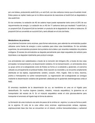 por una tiolasa, produciendo acetil-CoA y un acil-CoA, con dos carbonos menos que el sustrato inicial.
Estos pasos se repiten hasta que en la última secuencia de reacciones el butiril-CoA es degradado a
dos acetil-CoA.
En los rumiantes, la oxidación de AG de cadena impar puede representar tanto como el 25% de sus
requerimientos de energía. La oxidación de un AG de 17 carbonos daría por resultado 7 acetil-CoA y
un propionil-CoA. El propionil-CoA es también un producto de la degradación de valina e isoleucina. El
propionil-CoA es convertido en succinil-CoA y será utilizado en el ciclo de Krebs.
Metabolismo de proteínas
Las proteínas funcionan como enzimas, para formar estructuras, pero además los aminoácidos pueden
utilizarse como fuente de energía o como sustratos para otras rutas biosintéticas. En los animales
superiores, los aminoácidos provienen de la proteína de la dieta o por recambio metabólico de proteína
endógena. El exceso de aminoácidos se degrada parcialmente para dejar esqueletos de carbono para
biosíntesis o se degradan totalmente para producir energía.
Los aminoácidos son catabolizados a través de la remoción del nitrógeno (N), a través de dos rutas
principales: la transaminación y la desaminación oxidativa. En la transaminación, un aminoácidos dona
su grupo amino al α-cetoglutarato (ciclo de Krebs) se forma un α-cetoácido y glutamato, el coenzima
utilizado es principalmente el piridoxal fosfato. Esta reacción es reversible y se encuentra ampliamente
distribuida en los tejidos, especialmente: cerebro, corazón, riñón, hígado. Sólo la lisina, treonina,
prolina e hidroxiprolina no sufren transaminación. La regeneración del α-cetoglutarato se consigue
mediante la desaminación oxidativa del glutamato catalizada por la glutamato deshidrogenasa unida al
NAD.
El amoniaco resultante de la desaminación de a.a. se transforma en urea en el hígado para
destoxificarlo. En muchos órganos (cerebro, intestino, músculo esquelético), la glutamina es el
transportador del exceso de N. En el músculo esquelético existe el ciclo glucosa-alanina para
transportar el amoniaco al hígado bajo la forma de alanina.
La formación de urea involucra una serie de pasos de la ornitina en arginina. La urea se forma a partir
de la arginina. El ciclo de la urea utiliza cinco enzimas: argininosuccinato sintasa, arginasa,
arginosuccinato liasa (los tres se encuentran en el citosol), ornitina transcarbamoilasa y carbamoil
 