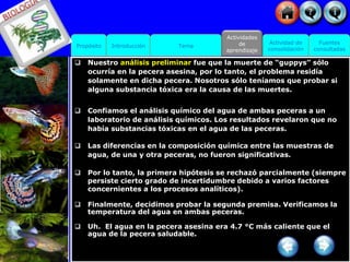 Propósito Introducción
Actividad de
consolidación
Tema
Actividades
de
aprendizaje
Fuentes
consultadas
 Nuestro análisis preliminar fue que la muerte de “guppys” sólo
ocurría en la pecera asesina, por lo tanto, el problema residía
solamente en dicha pecera. Nosotros sólo teníamos que probar si
alguna substancia tóxica era la causa de las muertes.
 Confiamos el análisis químico del agua de ambas peceras a un
laboratorio de análisis químicos. Los resultados revelaron que no
había substancias tóxicas en el agua de las peceras.
 Las diferencias en la composición química entre las muestras de
agua, de una y otra peceras, no fueron significativas.
 Por lo tanto, la primera hipótesis se rechazó parcialmente (siempre
persiste cierto grado de incertidumbre debido a varios factores
concernientes a los procesos analíticos).
 Finalmente, decidimos probar la segunda premisa. Verificamos la
temperatura del agua en ambas peceras.
 Uh. El agua en la pecera asesina era 4.7 °C más caliente que el
agua de la pecera saludable.
 