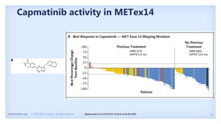 13
metcrusaders.org © 2020 MET Crusaders. All rights reserved.
Capmatinib activity in METex14
Baltschukat et al CCR 2019; Wolf et al NEJM 2020
ORR 41%
mPFS 5.4 mo
ORR 68%
mPFS 12.4 mo
 