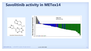 16
metcrusaders.org © 2020 MET Crusaders. All rights reserved.
Savolitinib activity in METex14
ORR 43%
mPFS 6.9 mo
Lu et al, ASCO 2020
 