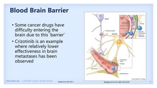 18
metcrusaders.org © 2020 MET Crusaders. All rights reserved.
Blood Brain Barrier
• Some cancer drugs have
difficulty entering the
brain due to this ‘barrier’
• Crizotinib is an example
where relatively lower
effectiveness in brain
metastases has been
observed
Manglani et al Curr Opin Virol 2018
Costa et al JCO 2011
 