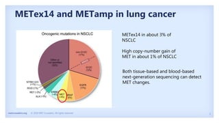 4
metcrusaders.org © 2020 MET Crusaders. All rights reserved.
METex14 and METamp in lung cancer
METex14 in about 3% of
NSCLC
High copy-number gain of
MET in about 1% of NSCLC
Both tissue-based and blood-based
next-generation sequencing can detect
MET changes.
 