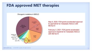 6
metcrusaders.org © 2020 MET Crusaders. All rights reserved.
FDA approved MET therapies
 