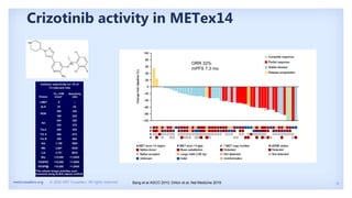 8
metcrusaders.org © 2020 MET Crusaders. All rights reserved. Bang et al ASCO 2010; Drilon et al, Nat Medicine 2019
ORR 32%
mPFS 7.3 mo
Crizotinib activity in METex14
 