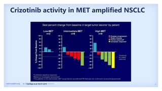 9
metcrusaders.org © 2020 MET Crusaders. All rights reserved.
Crizotinib activity in MET amplified NSCLC
• Camidge et al, ASCO 2014
 