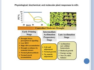 Molecular and Physiological Analysis of Drought Stress in Arabidopsis ...