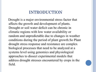 Molecular and Physiological Analysis of Drought Stress in Arabidopsis ...