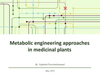 Metabolic engineering approaches
in medicinal plants
By: Naghmeh Poorinmohammad
May 2015
 