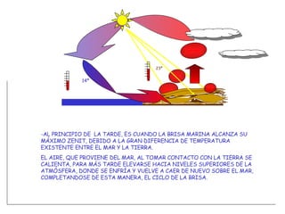 -AL PRINCIPIO DE  LA TARDE, ES CUANDO LA BRISA MARINA ALCANZA SU MÁXIMO ZENIT, DEBIDO A LA GRAN DIFERENCIA DE TEMPERATURA EXISTENTE ENTRE EL MAR Y LA TIERRA. EL AIRE, QUE PROVIENE DEL MAR, AL TOMAR CONTACTO CON LA TIERRA SE CALIENTA, PARA MÁS TARDE ELEVARSE HACIA NIVELES SUPERIORES DE LA ATMÓSFERA, DONDE SE ENFRÍA Y VUELVE A CAER DE NUEVO SOBRE EL MAR, COMPLETANDOSE DE ESTA MANERA, EL CICLO DE LA BRISA.  23º 14º 