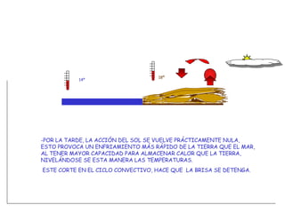 -POR LA TARDE, LA ACCIÓN DEL SOL SE VUELVE PRÁCTICAMENTE NULA, ESTO PROVOCA UN ENFRIAMIENTO MÁS RÁPIDO DE LA TIERRA QUE EL MAR, AL TENER MAYOR CAPACIDAD PARA ALMACENAR CALOR QUE LA TIERRA, NIVELÁNDOSE SE ESTA MANERA LAS TEMPERATURAS. ESTE CORTE EN EL CICLO CONVECTIVO, HACE QUE  LA BRISA SE DETENGA. 14º 18º 
