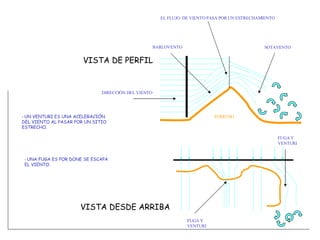 DIRECCIÓN DEL VIENTO TERRENO BARLOVENTO SOTAVENTO EL FLUJO  DE VIENTO PASA POR UN ESTRECHAMIENTO VISTA DE PERFIL VISTA DESDE ARRIBA FUGA Y VENTURI FUGA Y VENTURI -  UN VENTURI ES UNA ACELERACIÓN DEL VIENTO AL PASAR POR UN SITIO ESTRECHO. -  UNA FUGA ES POR DONE SE ESCAPA EL VIENTO . 