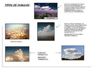 TIPOS DE CUMULOS EN ESTA FOTOGRAFÍA EN TRAZO  ROJO.SE PUEDE APRECIAR LAS CALLES DE NUBES PERFECTAMENTE ALINEADAS POR EL VIENTO. ESTA  FORMACIÓN  DE NUBES ES TÍPICA EN LAS CONVERGENCIAS.  EN ESTA OTRA FOTOGRAFÍA, UN CÚMULO CASTELLANUS,VEMOS COMO LA TÉRMICA SE HA DISPARADO Y ATRAVIESA LA CAPA DE INVERSIÓN, ALIMENTÁNDOSE DEL AIRE MÁS FRÍO QUE SE ENCUENTRA POR ENCIMA DE ESTA. GENERALMENTE ESTAS NUBES PREDICEN TORMENTA.. CUMULOS HUMILIS. CUMULOS CONGESTUS. PREDICEN TORMENTAS 