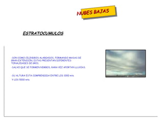 NUBES BAJAS SON COMO CILINDROS ALARGADOS, FORMANDO MASAS DE GRAN EXTENSIÓN, ESTAS PRESENTAN DIFERENTES TONALIDADES DE GRIS. SALVO QUE SE FORMEN NIMBOS, RARA VEZ APORTAN LLUVIAS.  -SU ALTURA ESTA COMPRENDIDA ENTRE LOS 1000 mts. Y LOS 5000 mts. ESTRATOCUMULOS 