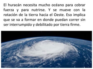 El huracán necesita mucho océano para cobrar
fuerza y para nutrirse. Y se mueve con la
rotación de la tierra hacia el Oeste. Eso implica
que se va a formar en donde puedan correr sin
ser interrumpido y debilitado por tierra firme.
 