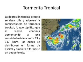 Tormenta Tropical
La depresión tropical crece o
se desarrolla y adquiere la
características de tormenta
tropical, lo que significa que
el viento continua
aumentando a una
velocidad máxima entre 63 y
117 km/h. las nubes se
distribuyen en forma de
espiral y empieza a formarse
un pequeño ojo.
 