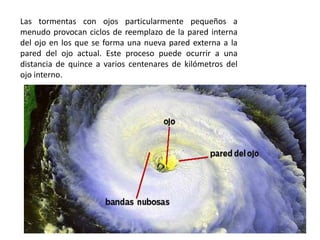 Las tormentas con ojos particularmente pequeños a
menudo provocan ciclos de reemplazo de la pared interna
del ojo en los que se forma una nueva pared externa a la
pared del ojo actual. Este proceso puede ocurrir a una
distancia de quince a varios centenares de kilómetros del
ojo interno.
 