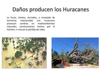 Daños producen los Huracanes
La lluvia, vientos, tornados, y marejada de
tormenta relacionadas con huracanes
provocan cambios en medioambientes
naturales, construcciones hechas por el
hombre, e incluso la pérdida de vidas.
 