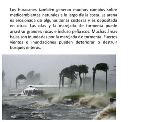 Los huracanes también generan muchos cambios sobre
medioambientes naturales a lo largo de la costa. La arena
es erosionada de algunas zonas costeras y es depositada
en otras. Las olas y la marejada de tormenta puede
arrastrar grandes rocas e incluso peñazcos. Muchas áreas
bajas son inundadas por la marejada de tormenta. Fuertes
vientos e inundaciones pueden deteriorar o destruir
bosques enteros.
 