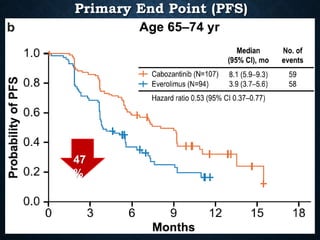 Primary End Point (PFS)
47
%
 
