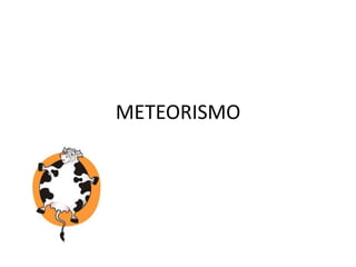 METEORISMO
 