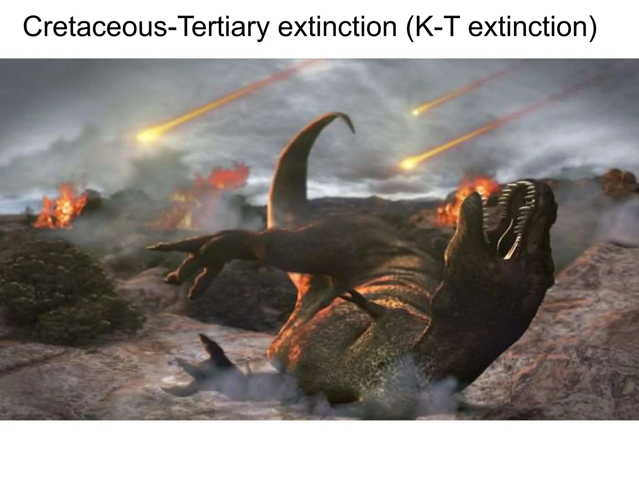 Cretaceous-Tertiary extinction (K-T extinction)
 