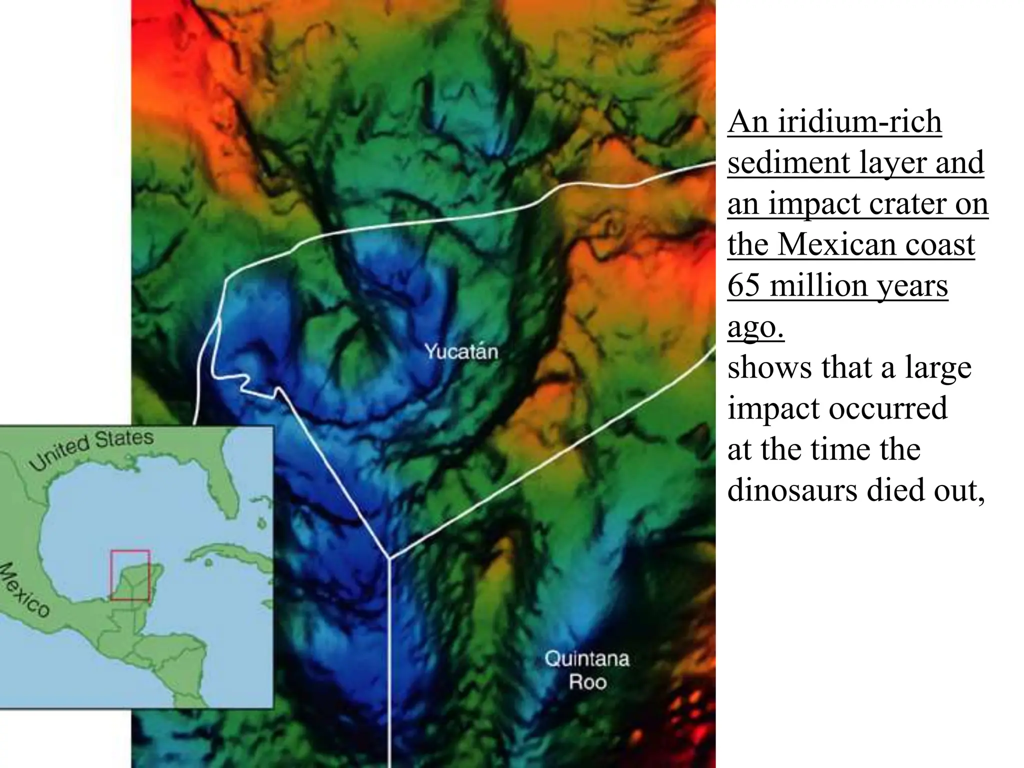 An iridium-rich
sediment layer and
an impact crater on
the Mexican coast
65 million years
ago.
shows that a large
impact occurred
at the time the
dinosaurs died out,
 