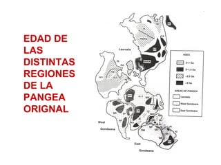 EDAD DE
LAS
DISTINTAS
REGIONES
DE LA
PANGEA
ORIGNAL
 
