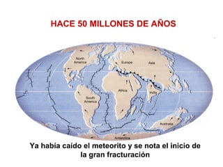 HACE 50 MILLONES DE AÑOS
Ya había caído el meteorito y se nota el inicio de
la gran fracturación
 