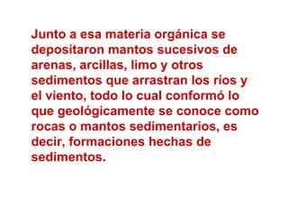Junto a esa materia orgánica se
depositaron mantos sucesivos de
arenas, arcillas, limo y otros
sedimentos que arrastran los ríos y
el viento, todo lo cual conformó lo
que geológicamente se conoce como
rocas o mantos sedimentarios, es
decir, formaciones hechas de
sedimentos.
 