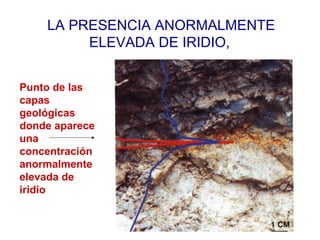 LA PRESENCIA ANORMALMENTE
ELEVADA DE IRIDIO,
Punto de las
capas
geológicas
donde aparece
una
concentración
anormalmente
elevada de
iridio
 