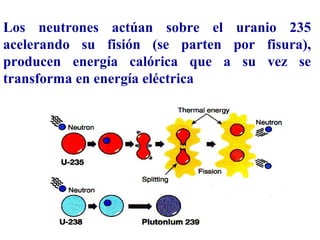 Los neutrones actúan sobre el uranio 235
acelerando su fisión (se parten por fisura),
producen energía calórica que a su vez se
transforma en energía eléctrica
 