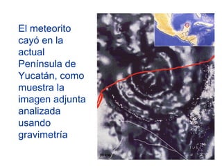 El meteorito
cayó en la
actual
Península de
Yucatán, como
muestra la
imagen adjunta
analizada
usando
gravimetría
 