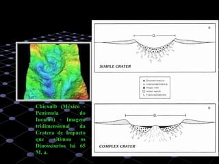 42
Chicxulb (México -
Península do
Iucatão) - Imagem
tridimensional da
Cratera de Impacto
que vitimou os
Dinossáurios há 65
M. a.
 