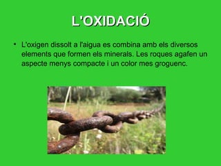 L'OXIDACIÓ L'oxigen dissolt a l'aigua es combina amb els diversos elements que formen els minerals. Les roques agafen un aspecte menys compacte i un color mes groguenc. 